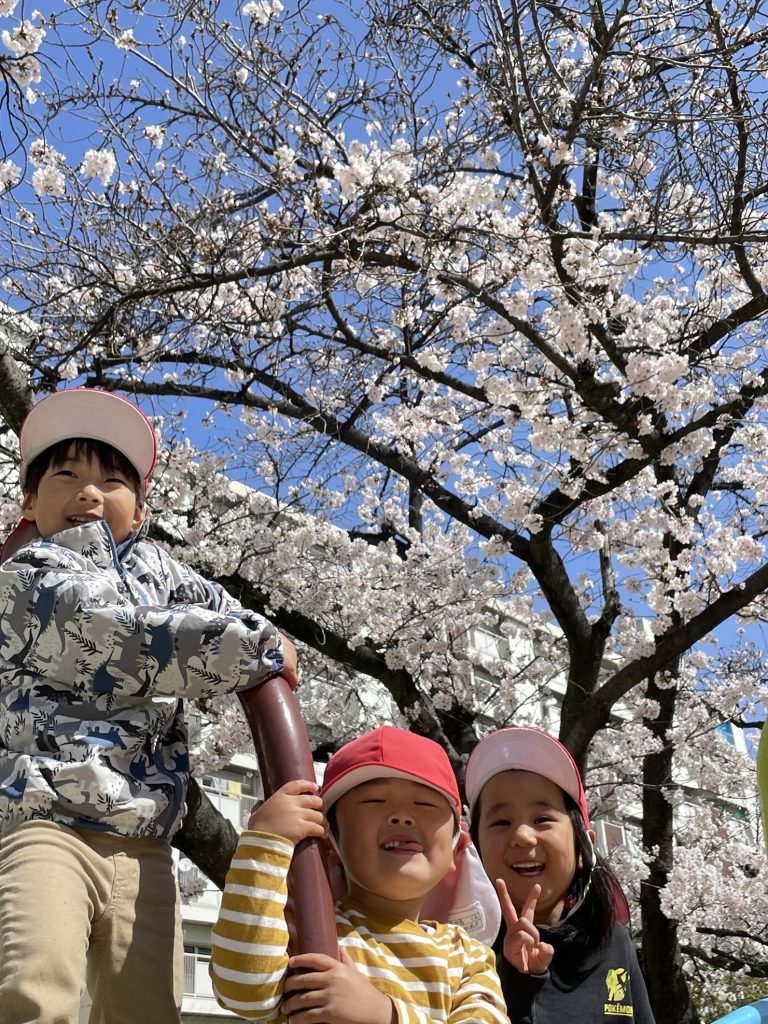 桜の下で