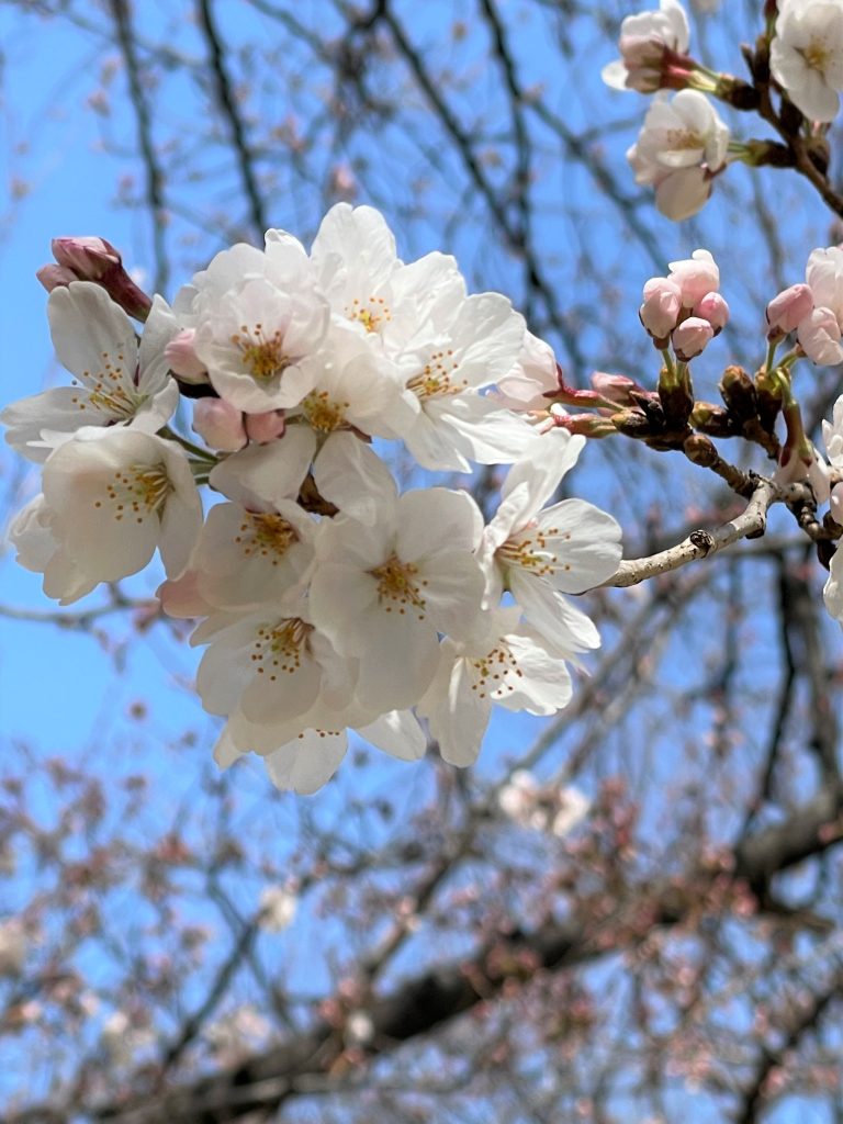 ほどよい緊張感