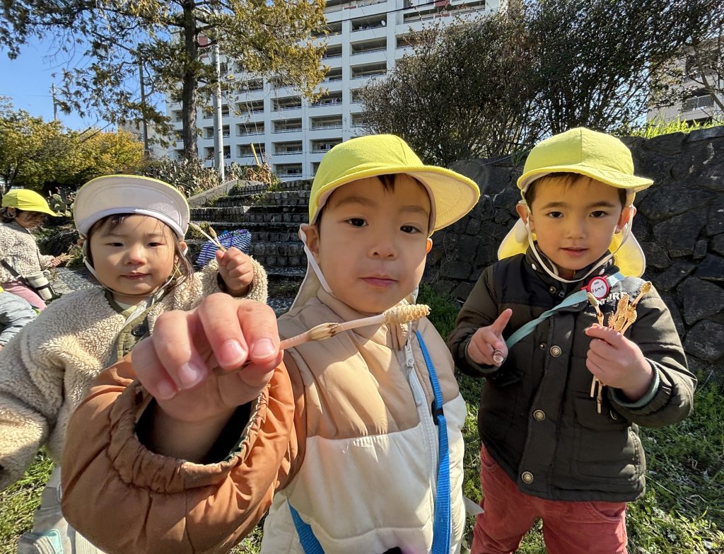 つくし採り