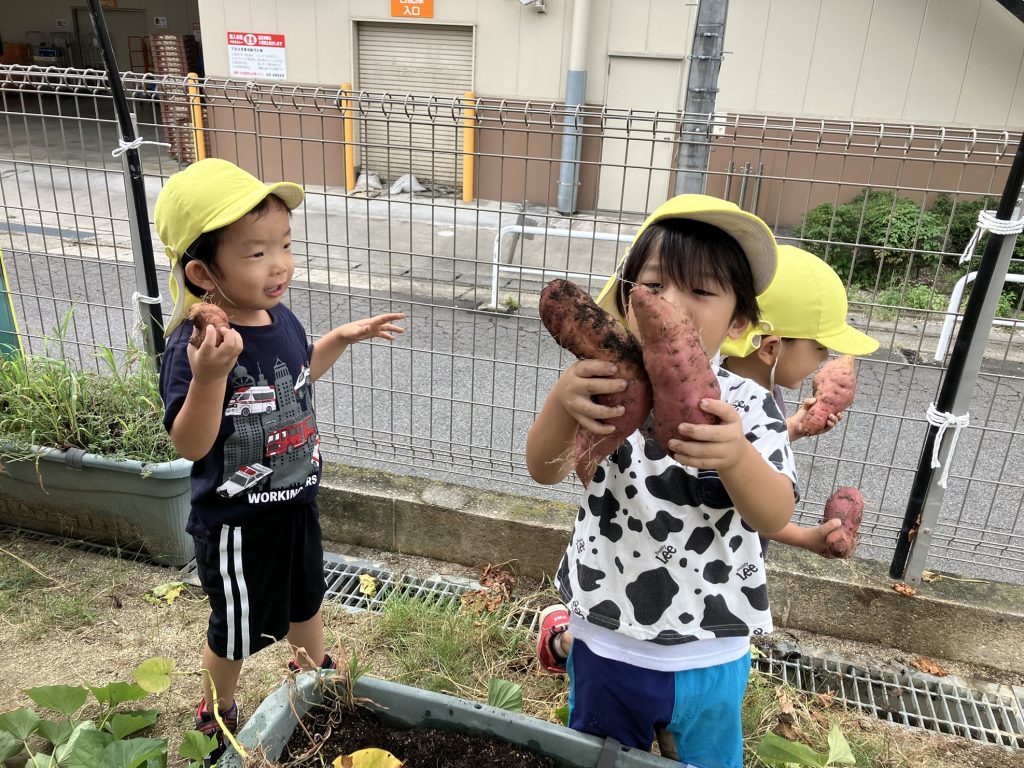 芋ほり　続編